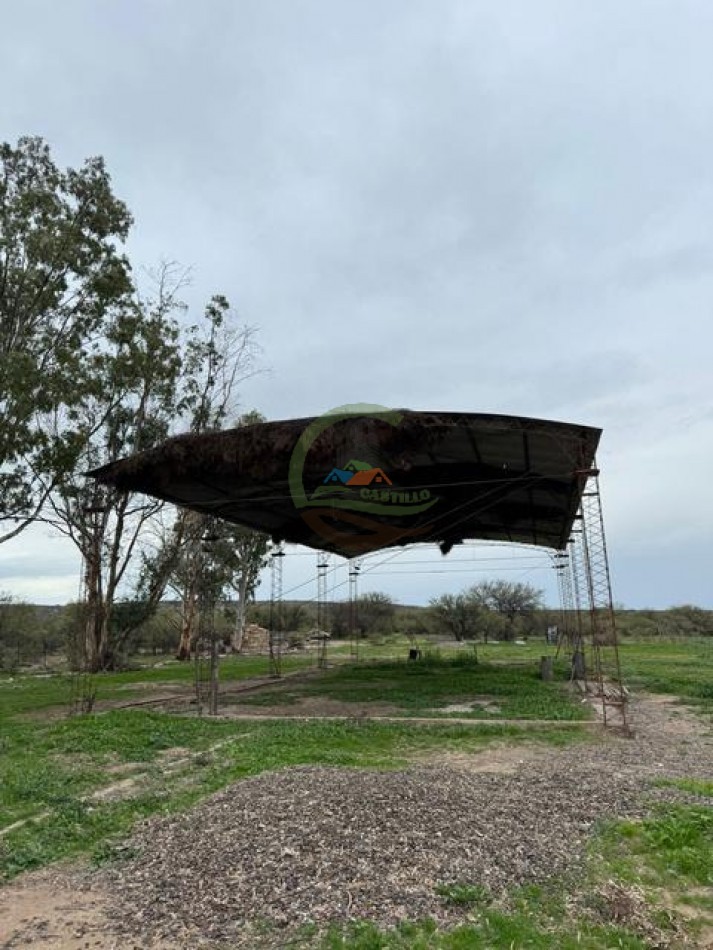 5117 Ha Ganadero - La Adela - La Pampa