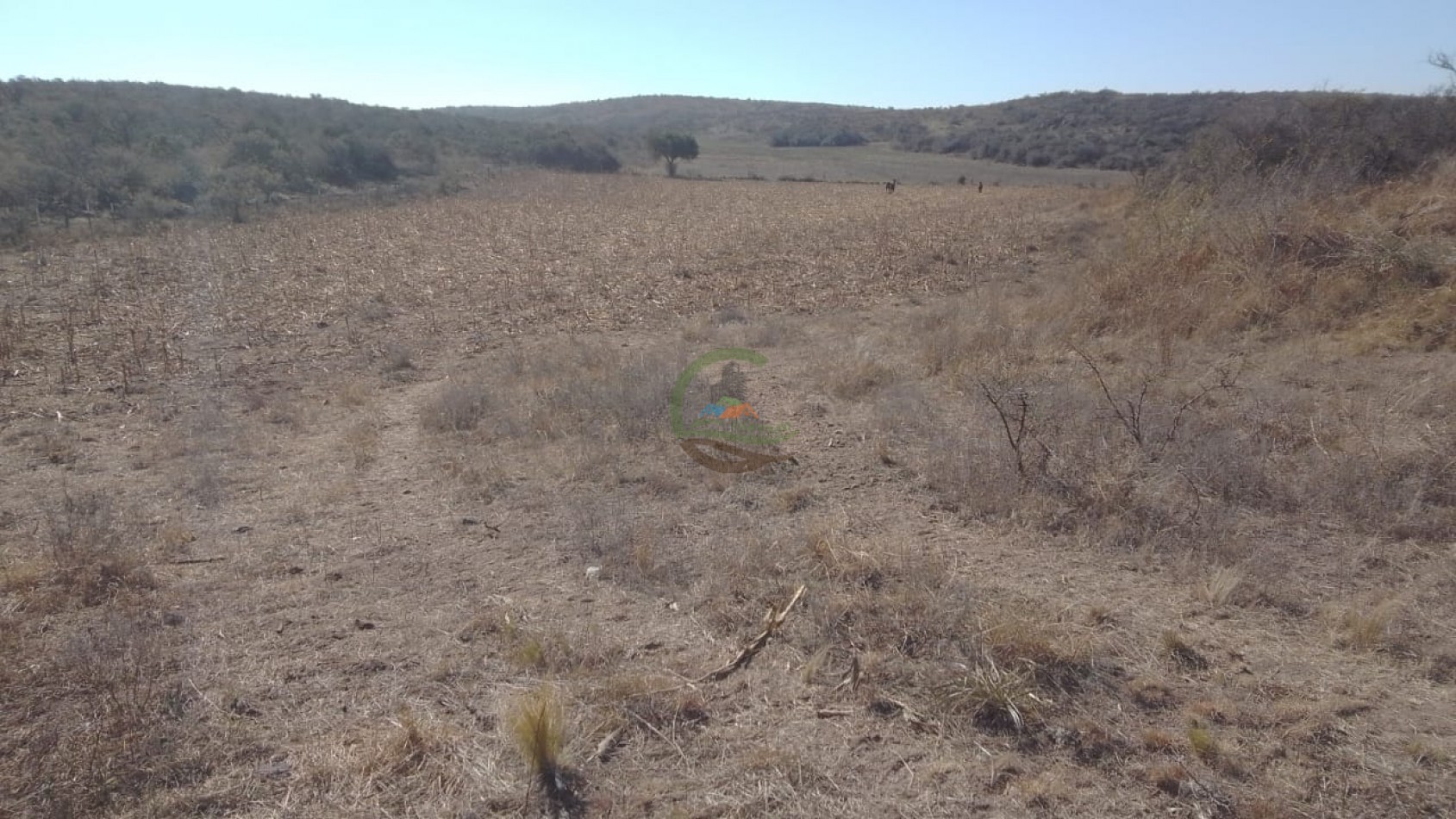 80 Ha Mixtas - Elena - Rio Cuarto