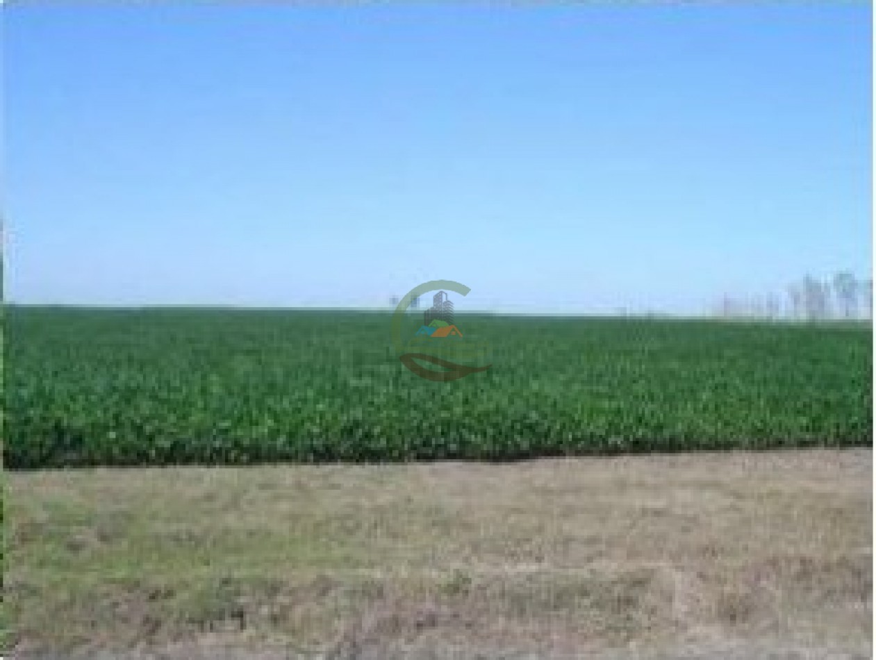 639 Ha Mixtas - Murphy - Santa Fe