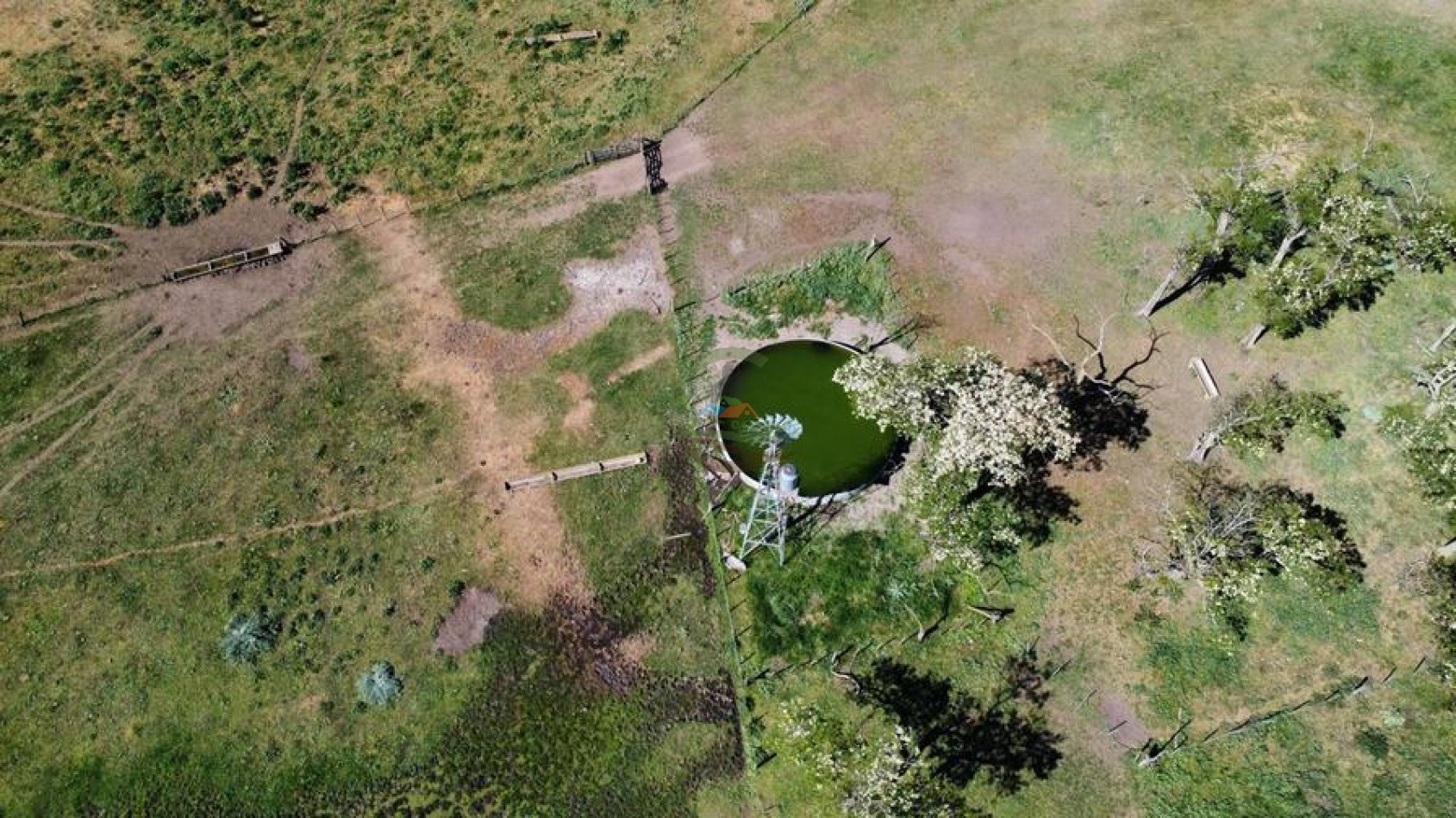 431 Ha Ganadero - Campodonico - Tapalque