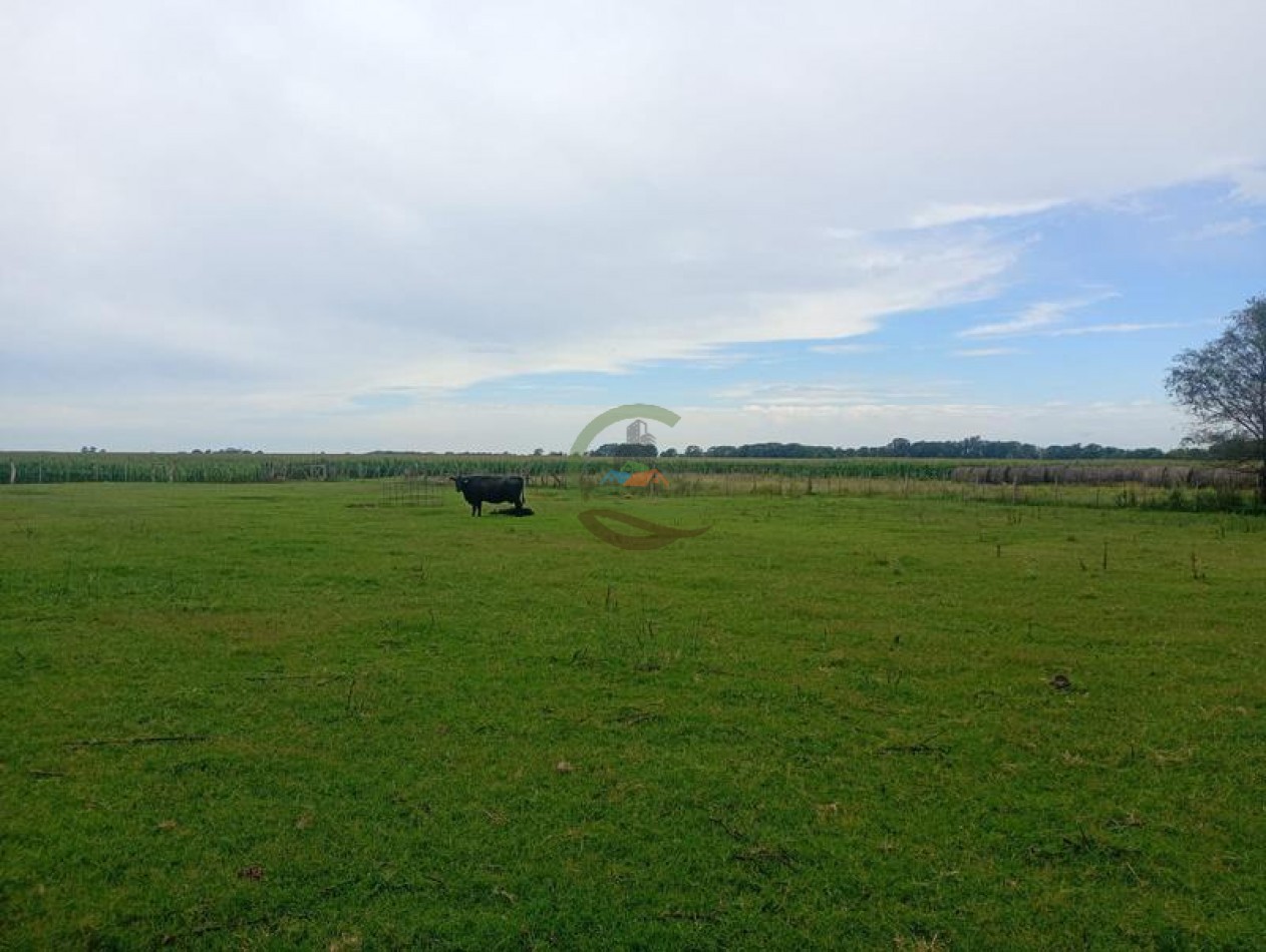 378 Ha Mixto - Realico - La Pampa