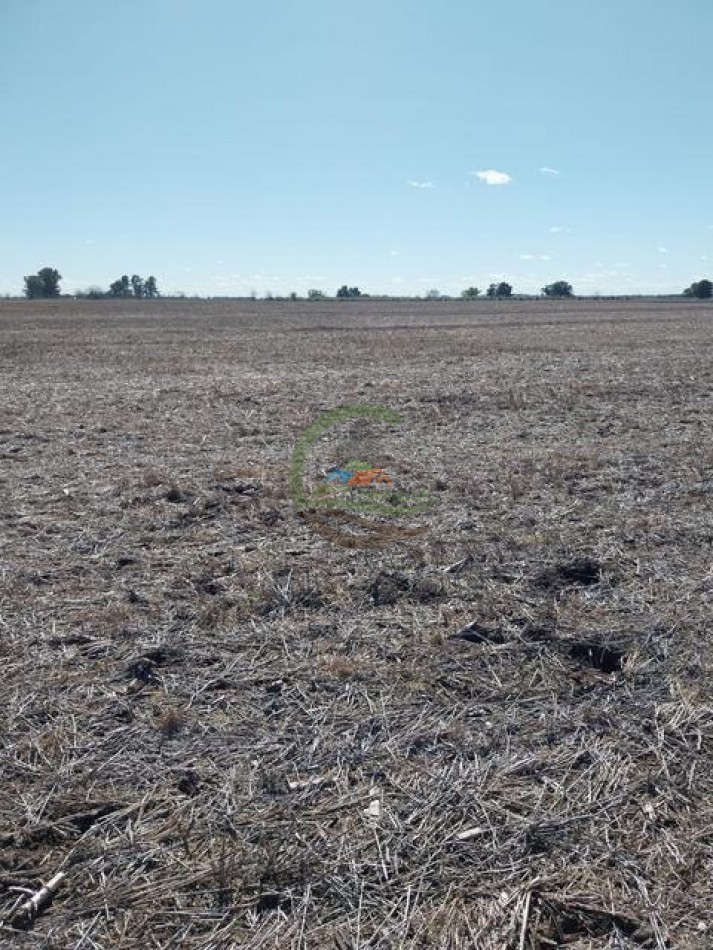 1104 Ha Agricolas - San Miguel del Monte