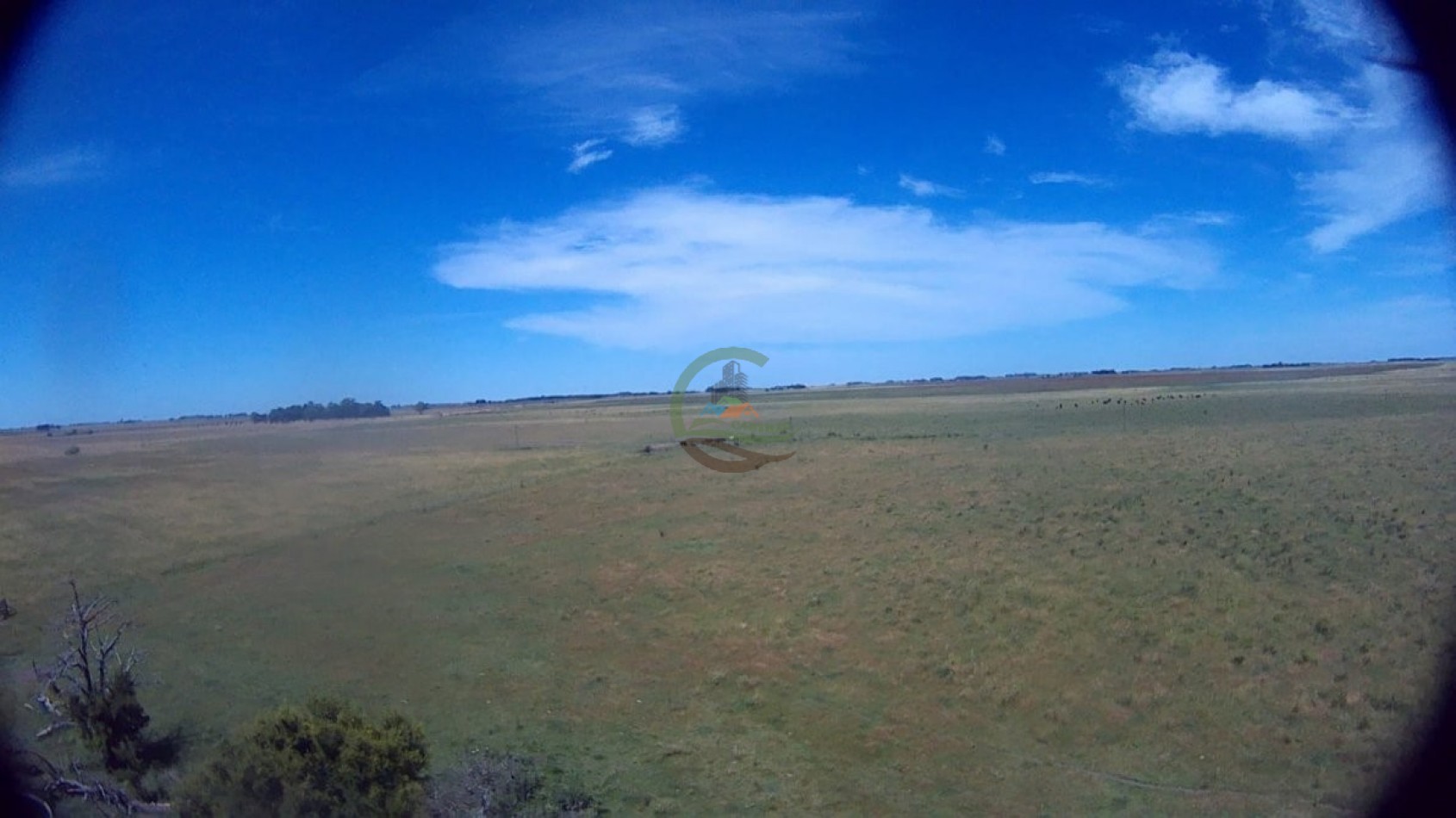 302 Ha Ganadero - Comandante Giribone - Chascomus