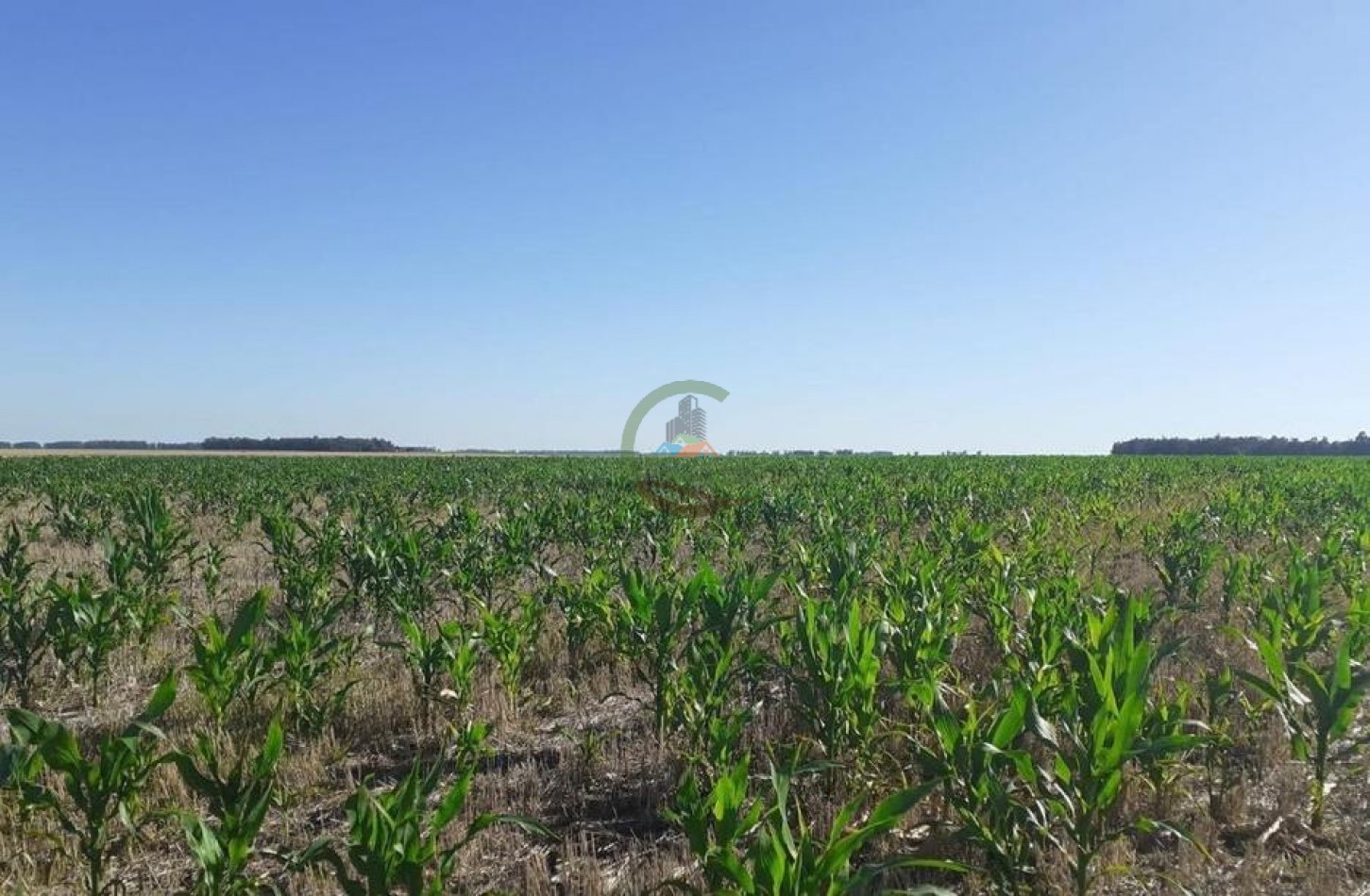 338 Ha Mixto - San Cayetano 