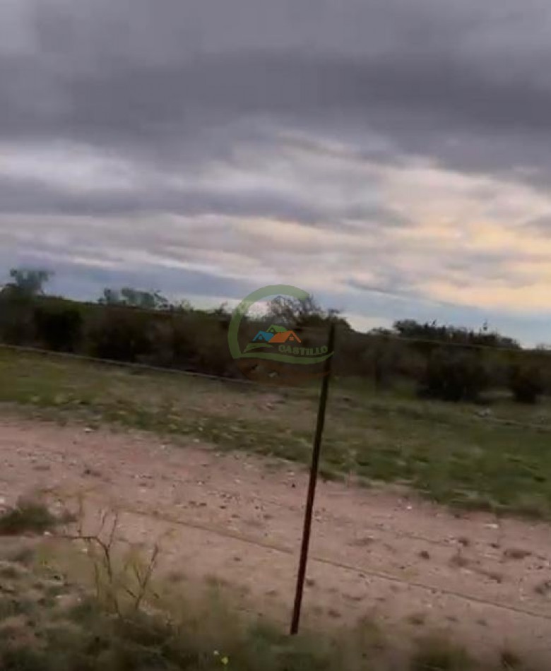 5117 Ha Ganadero - La Adela - La Pampa