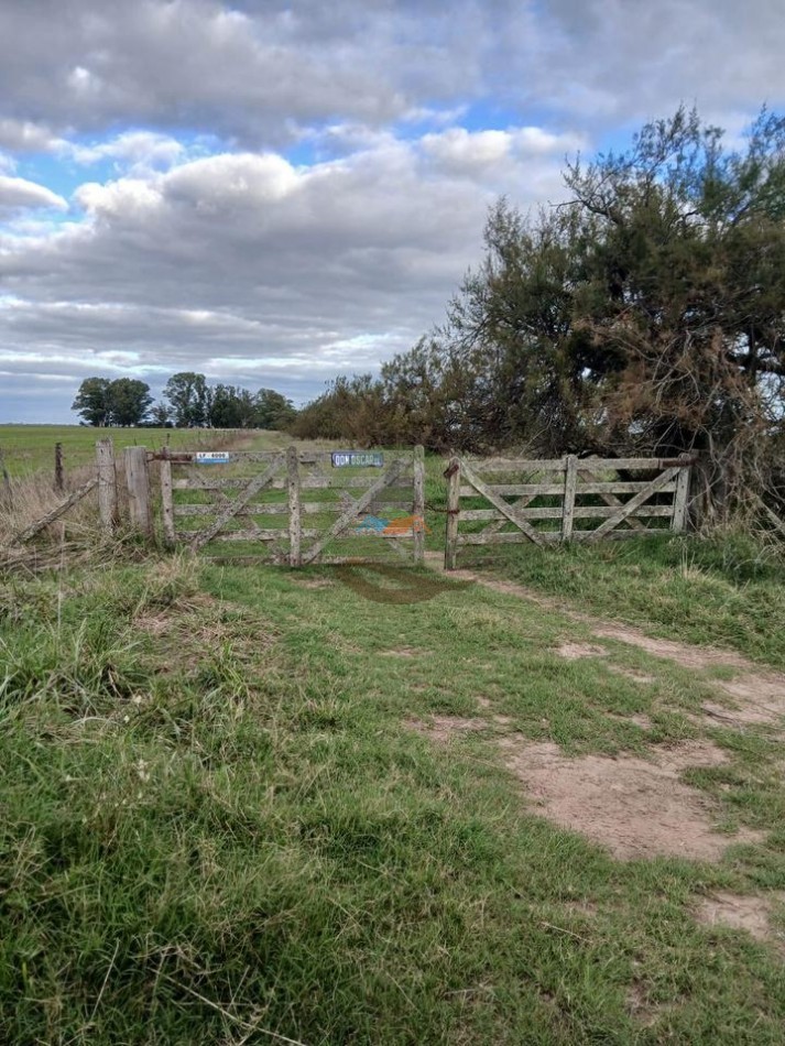 254 Ha Mixta - Vilela - Las Flores