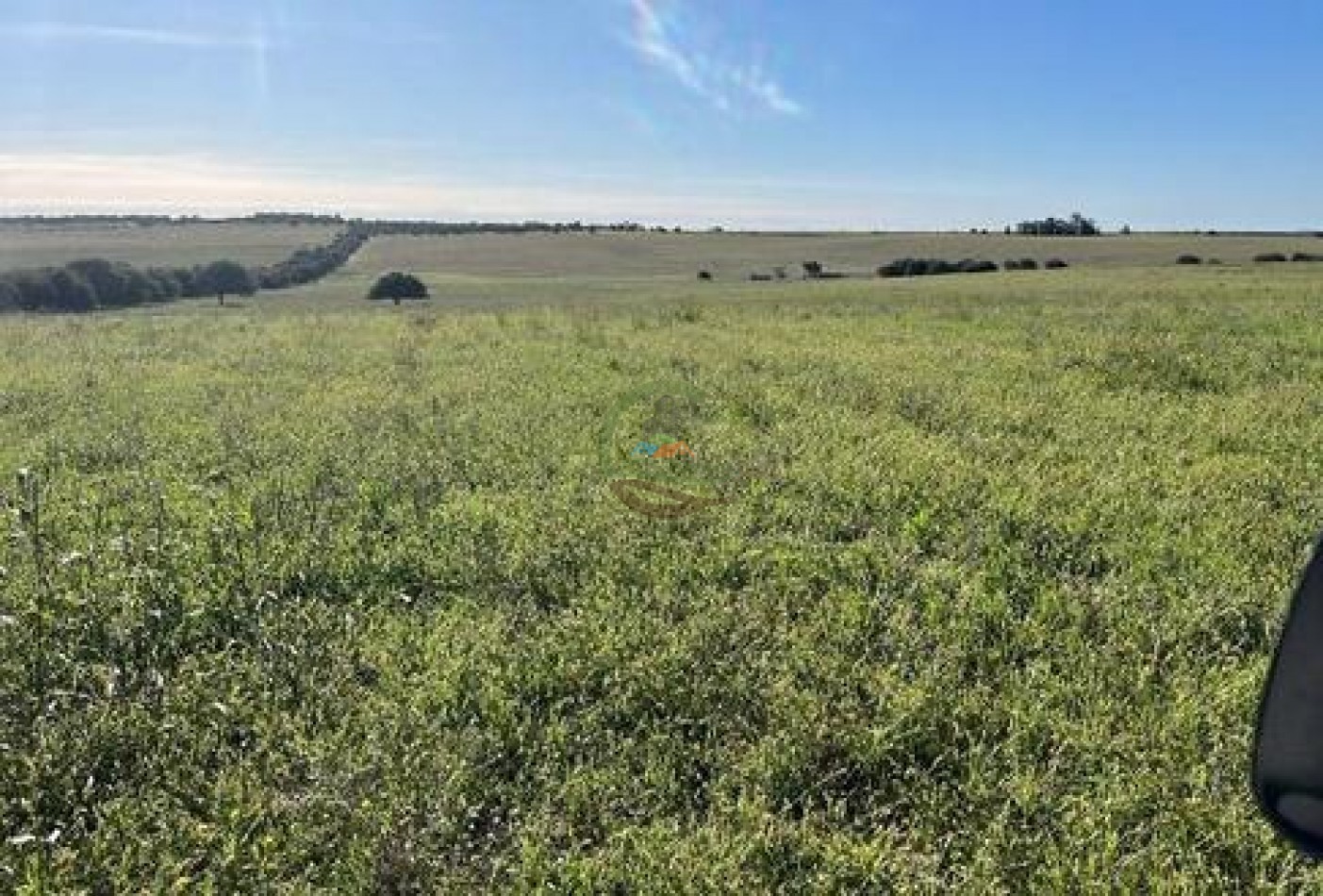 521 Ha Mixto - Toay - La Pampa