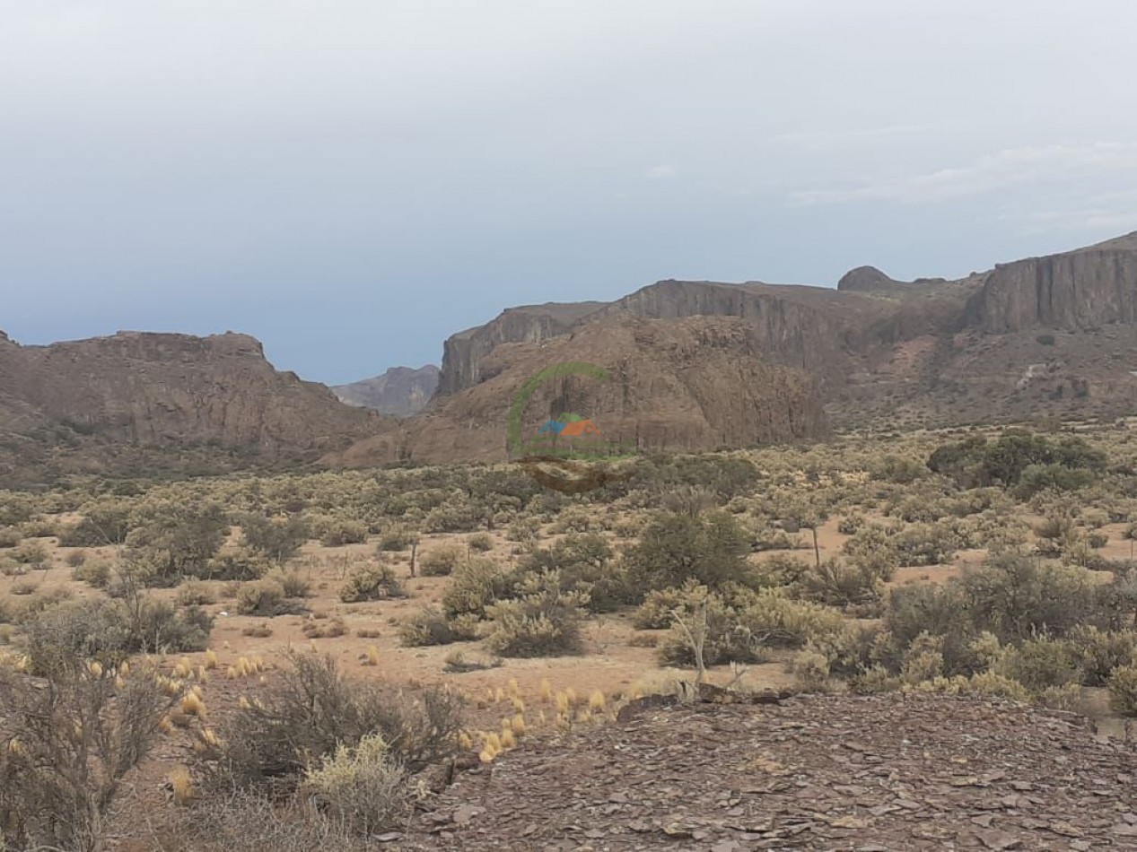 59000 ha Ganadero - Chubut