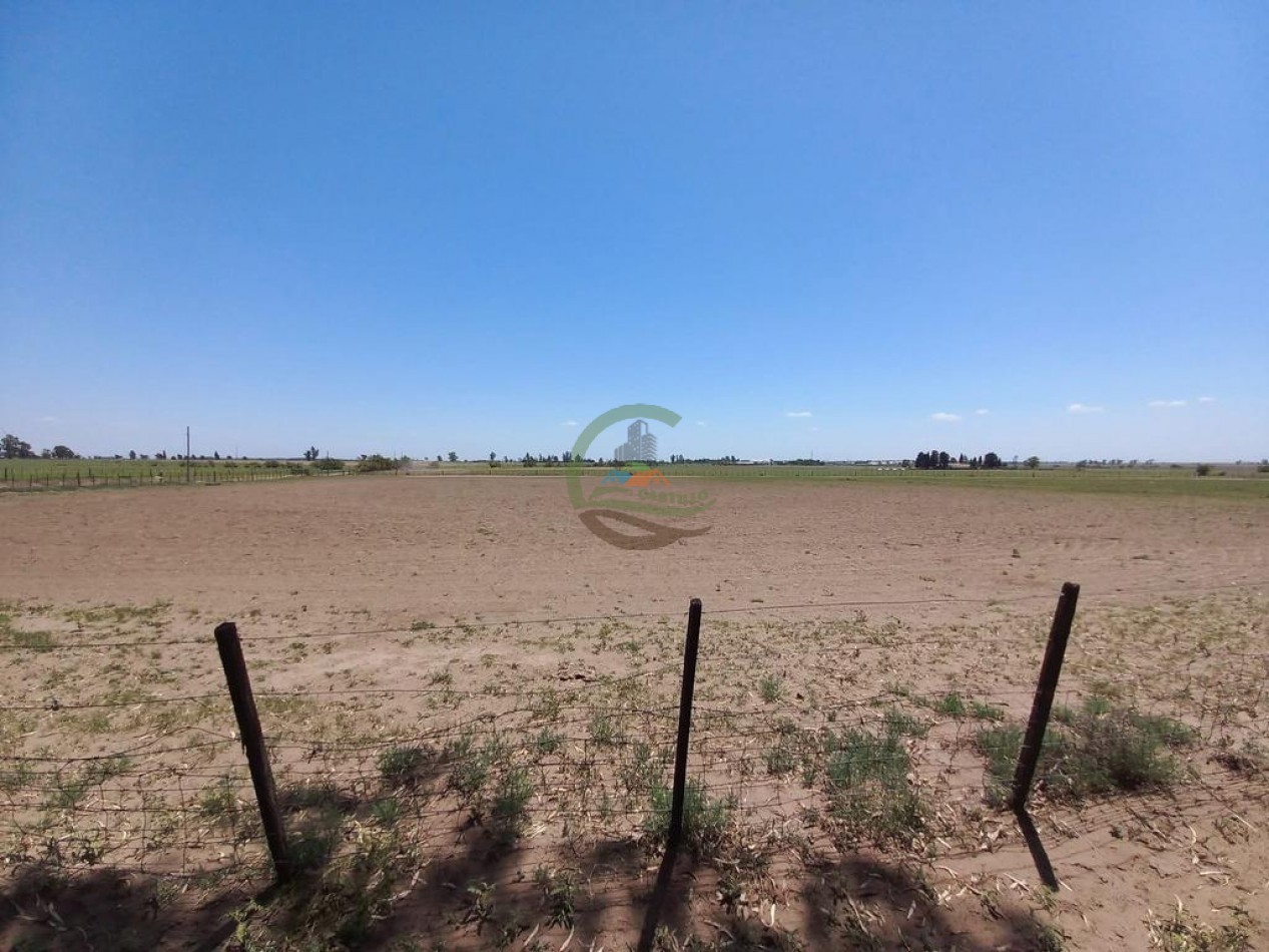 25 Ha Agricolas - Holmberg - Rio Cuarto