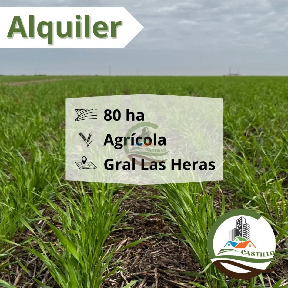 80 Ha Agricolas . General Las Heras - Alquiler
