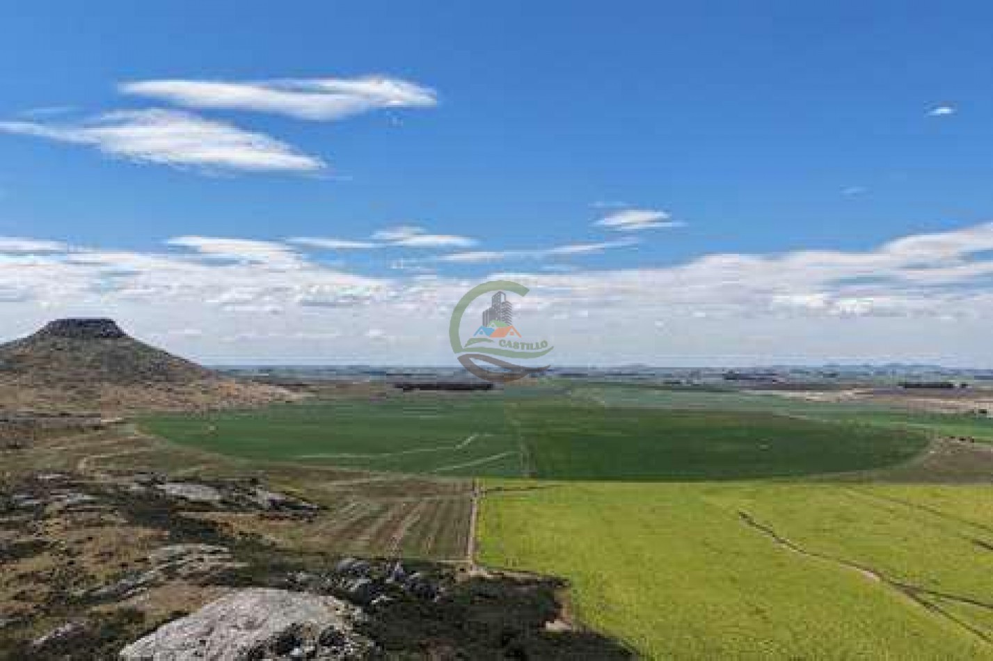 2057 Ha Mixto - Loberia