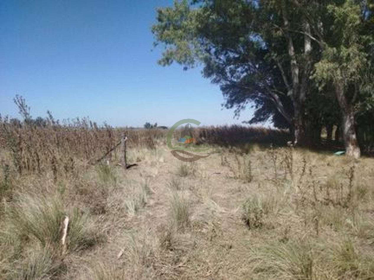 43 Ha mixto - Olavarria