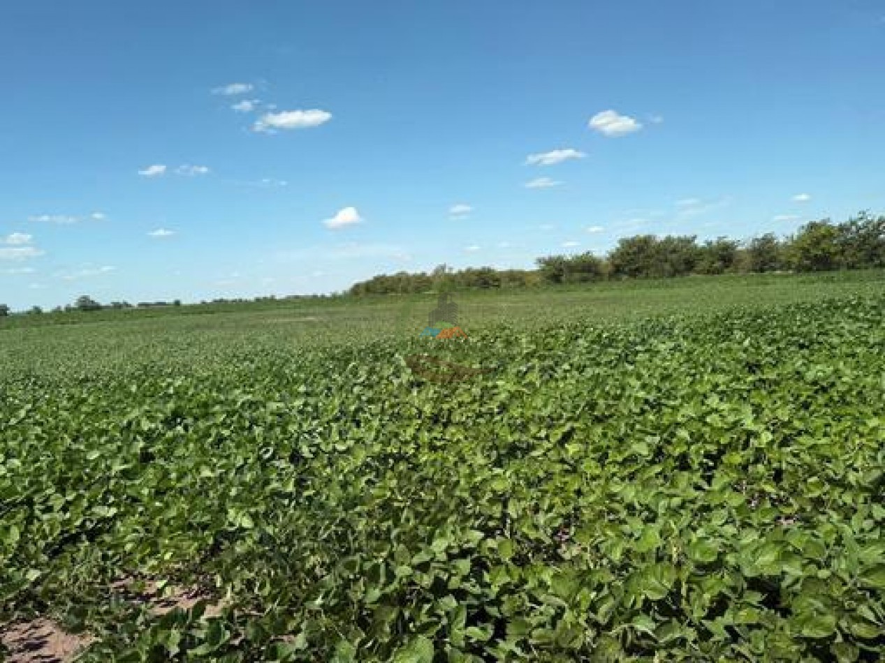 164 ha Agricolas - Carlos Casares - Ordoqui