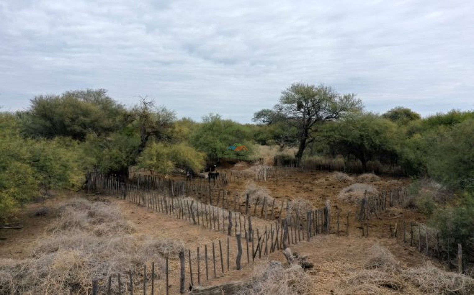 1856 Ha Ganadero - Villa Dolores - Cordoba