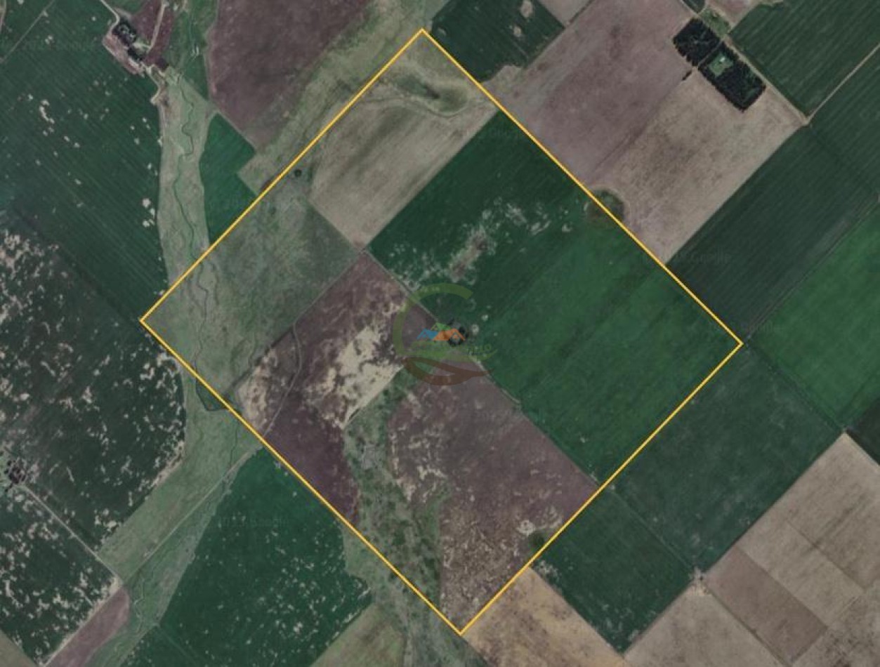 338 Ha Mixto - San Cayetano 