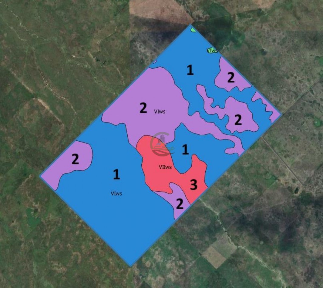 1361 ha Mixta - Olavarria 