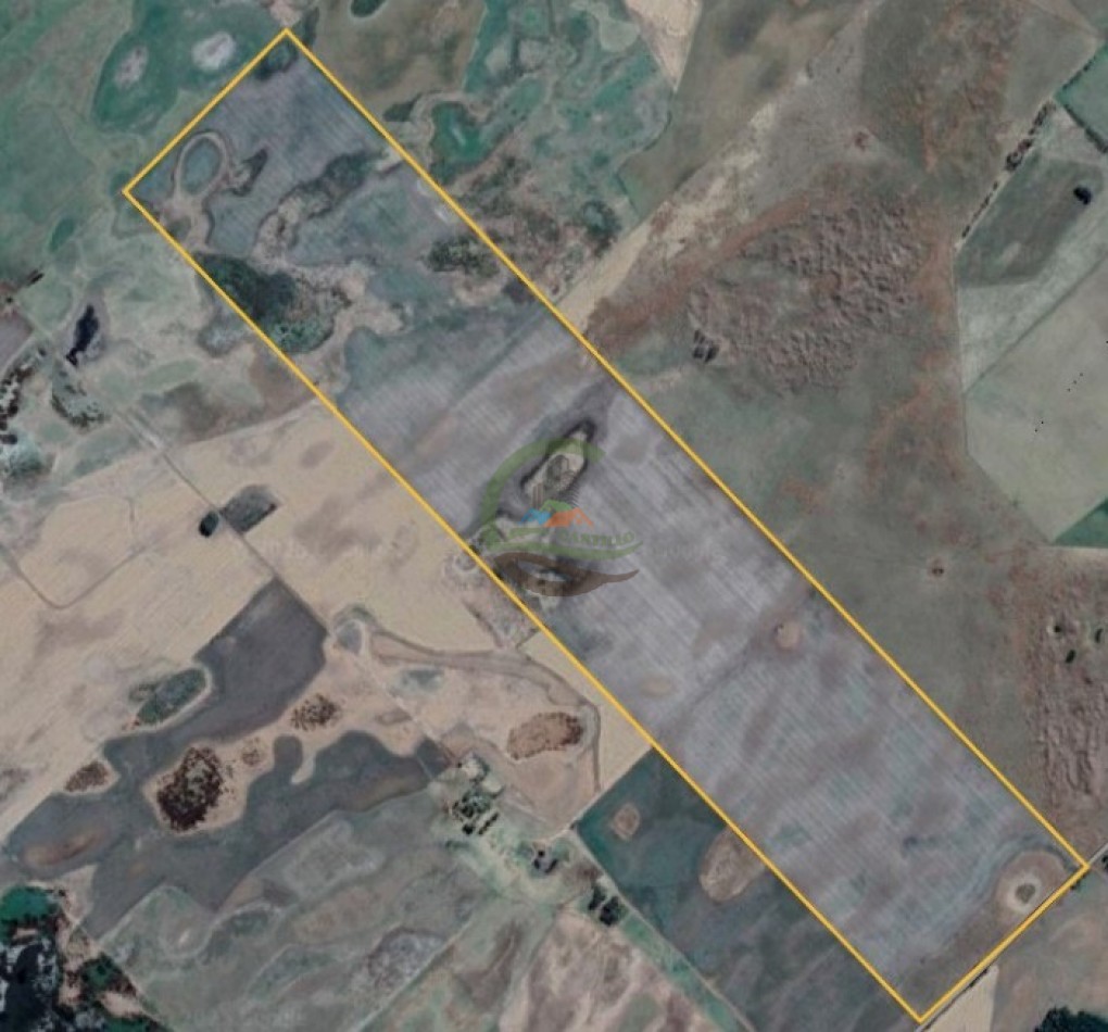 178 Ha Agricolas - Trenque Lauquen
