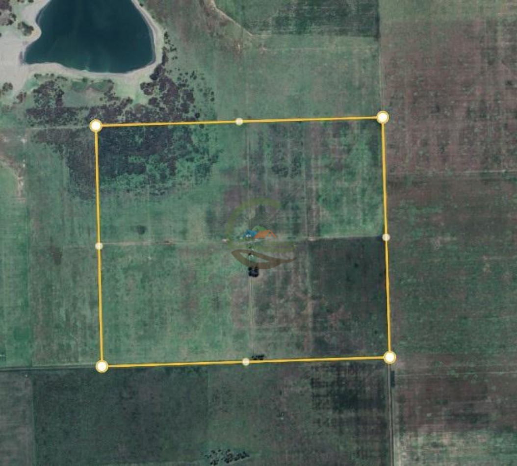 122 Ha Mixto - Bunge - Gral Villegas