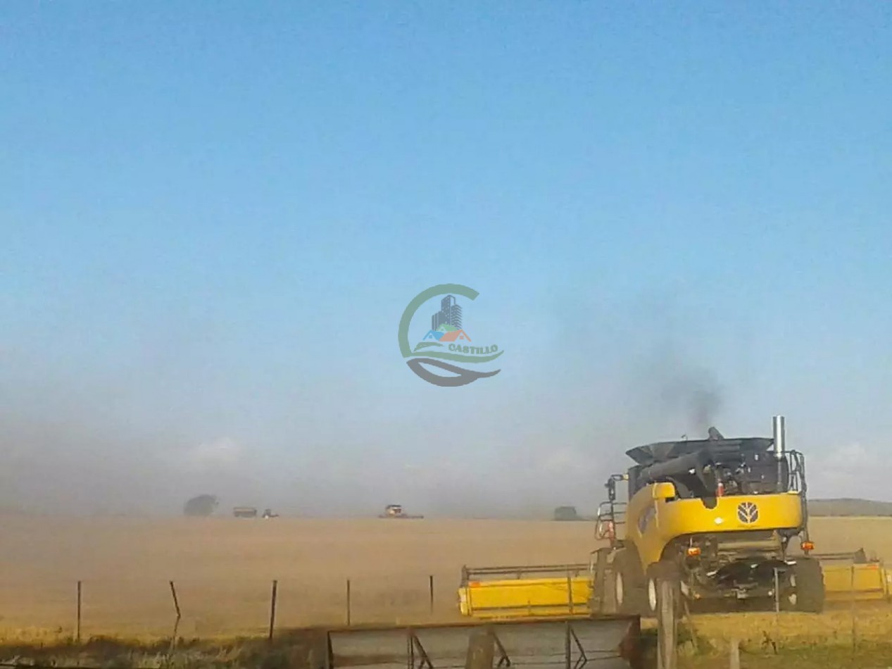 235 Ha Mixto - Tornquist
