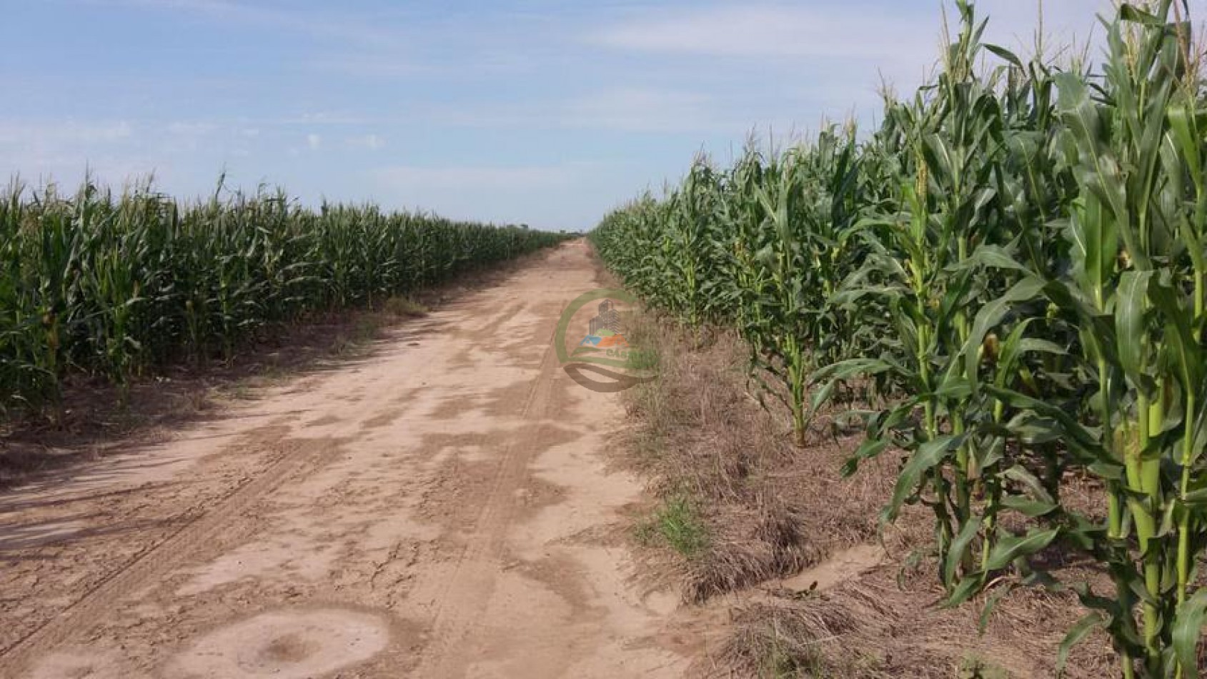 1438 Ha Agricolas - Malbran - Santiago del Estero.