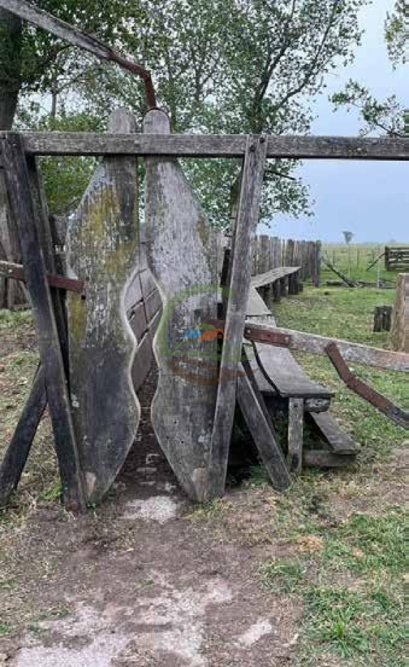 265 Ha Ganadero - Harosteguy - Las Flores