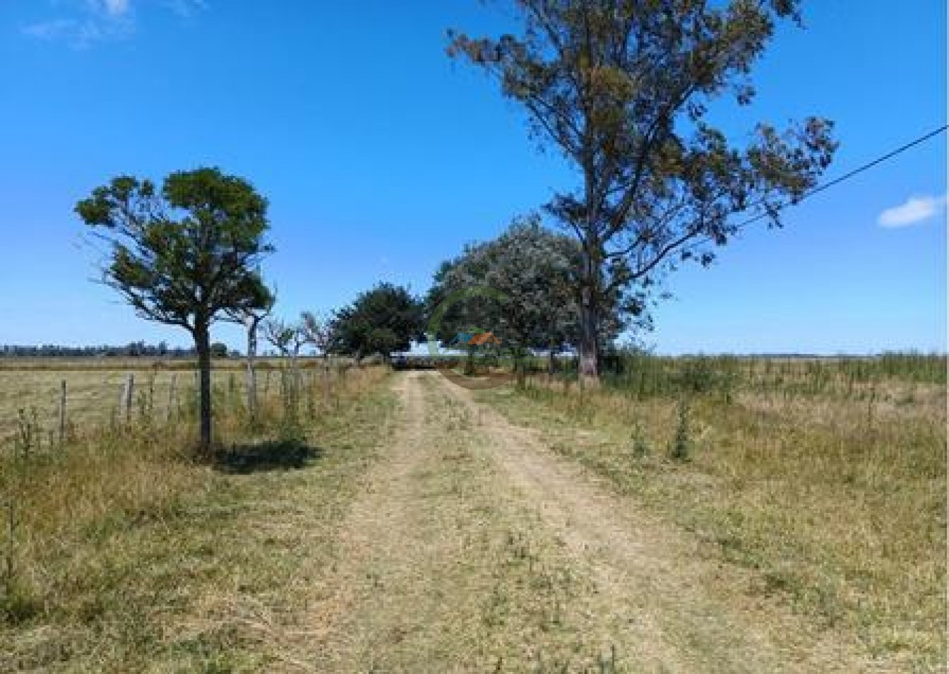 132 Ha Mixto - Magdalena