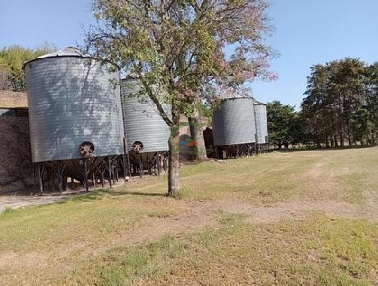 60 ha Haras - San Andres de Giles