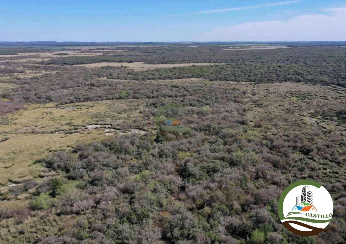 2658 ha Mixto - Entre Rios
