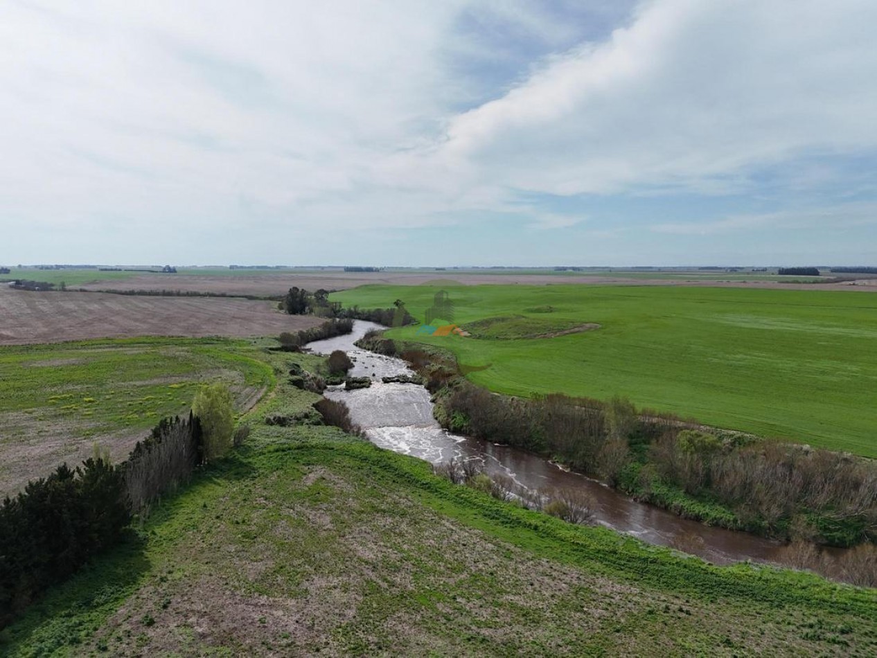 520 Ha Mixtas - Necochea