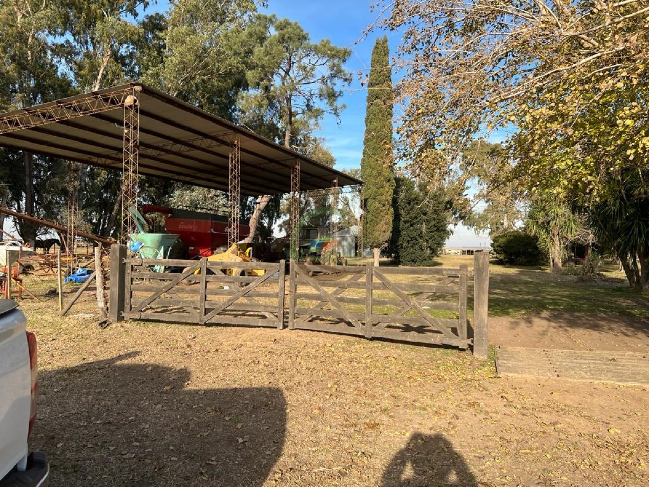 377 Ha Agricolas - San Miguel del Monte 