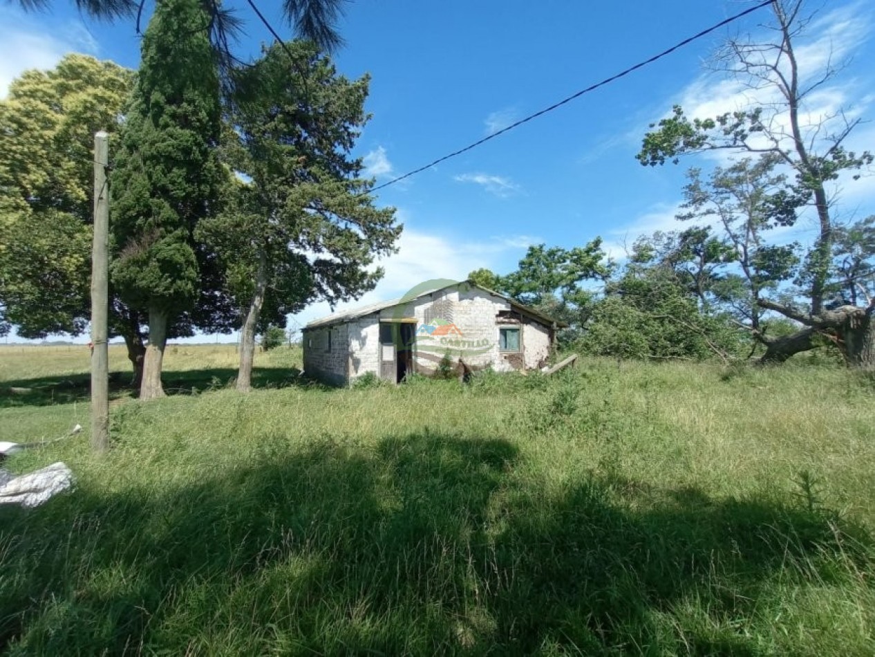 302 Ha Ganadero - Comandante Giribone - Chascomus