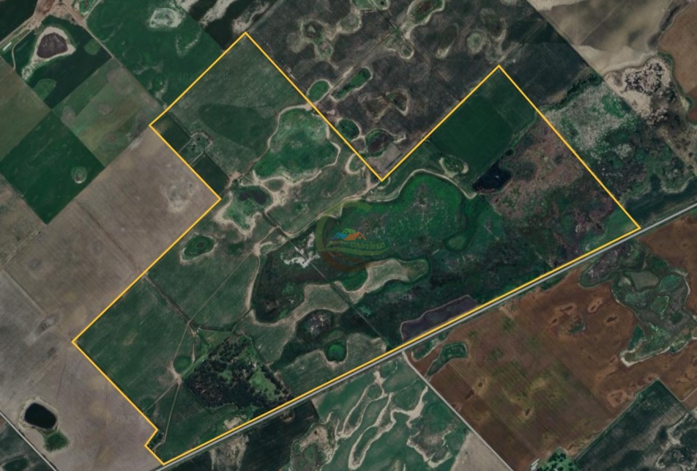 447 Ha Mixtas - Mones Cazon - Pehuajo