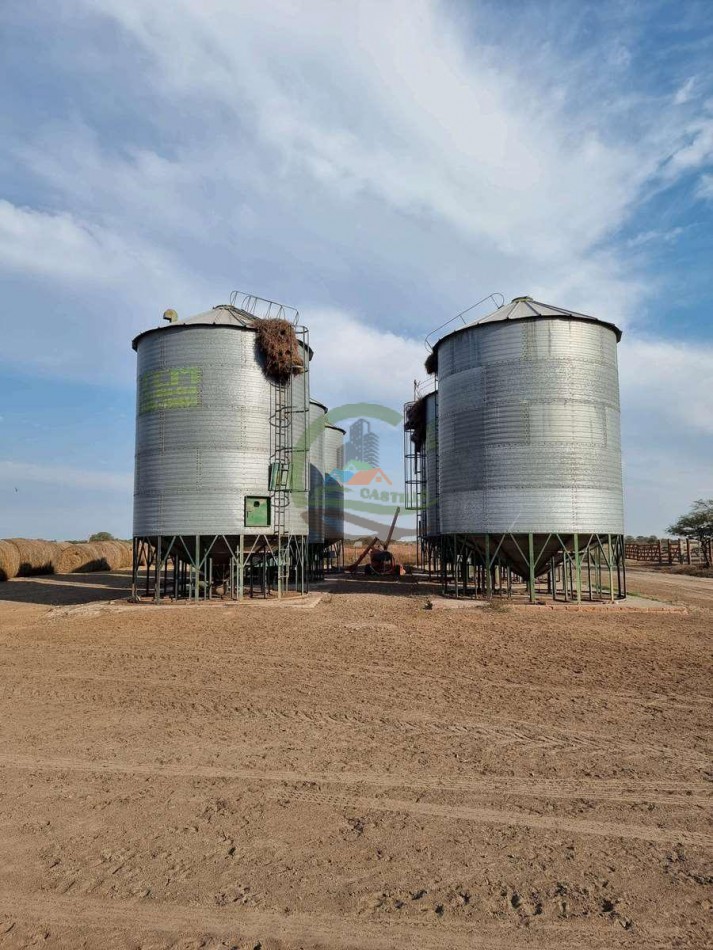 400 Ha Ganaderas - Gregoria Perez de Denis - Santa Fe