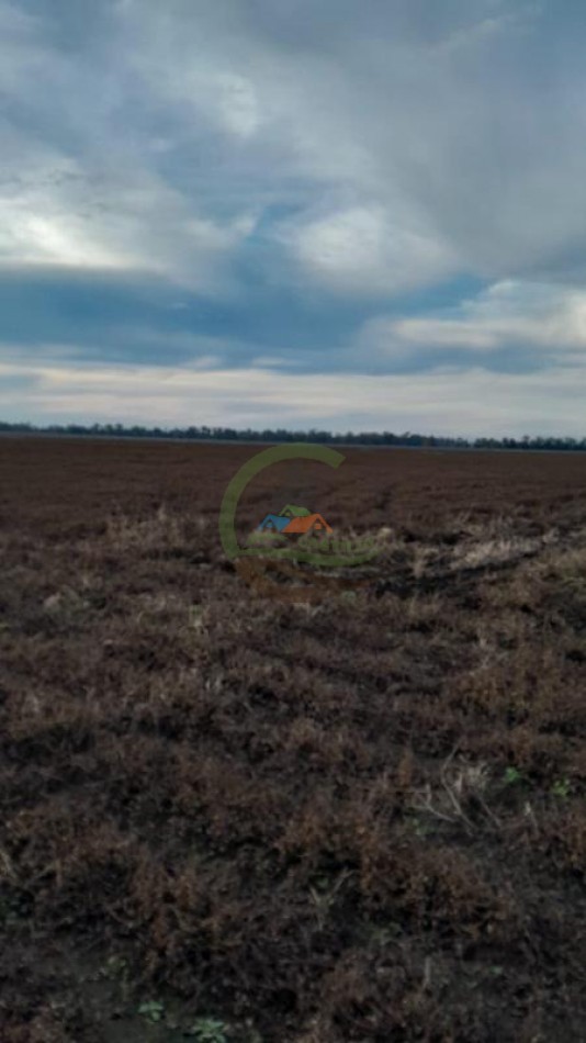 250 Ha Agricolas - Roberts - Lincoln