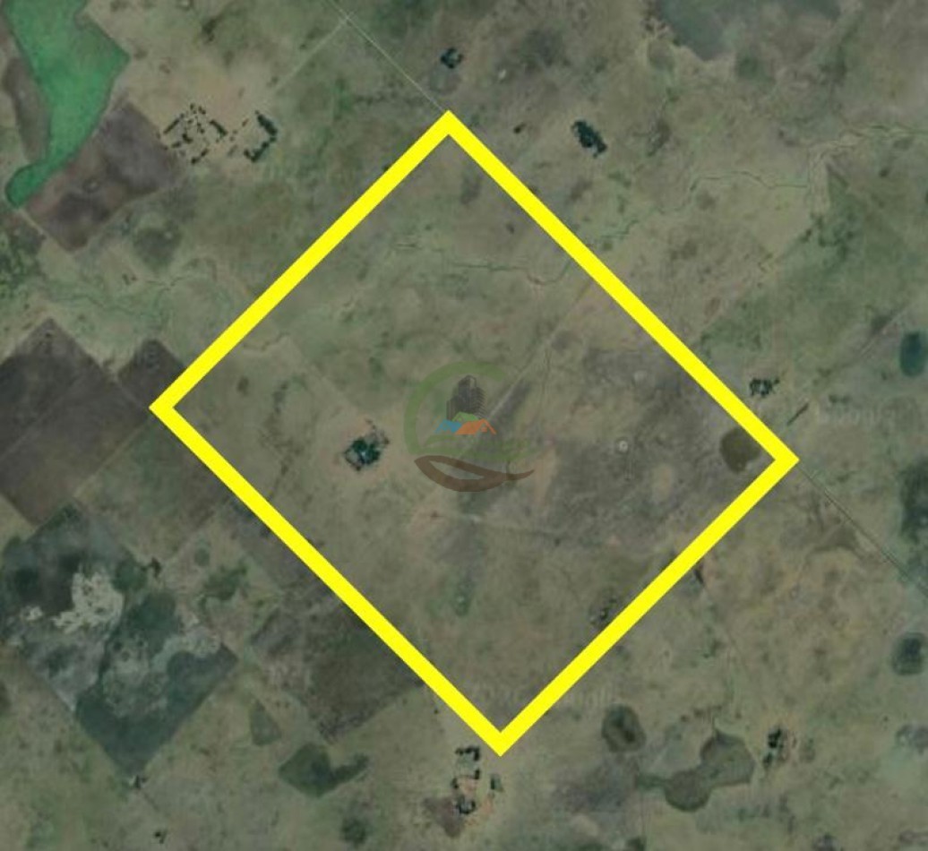 333 Ha Mixto - Balcarce