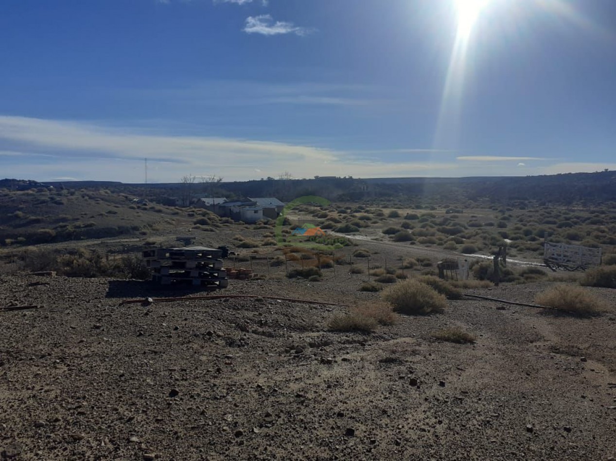 59000 ha Ganadero - Chubut