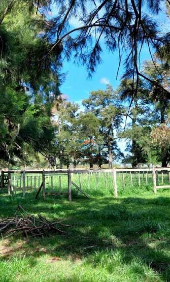 205 Ha Mixto -- Harosteguy - Las Flores