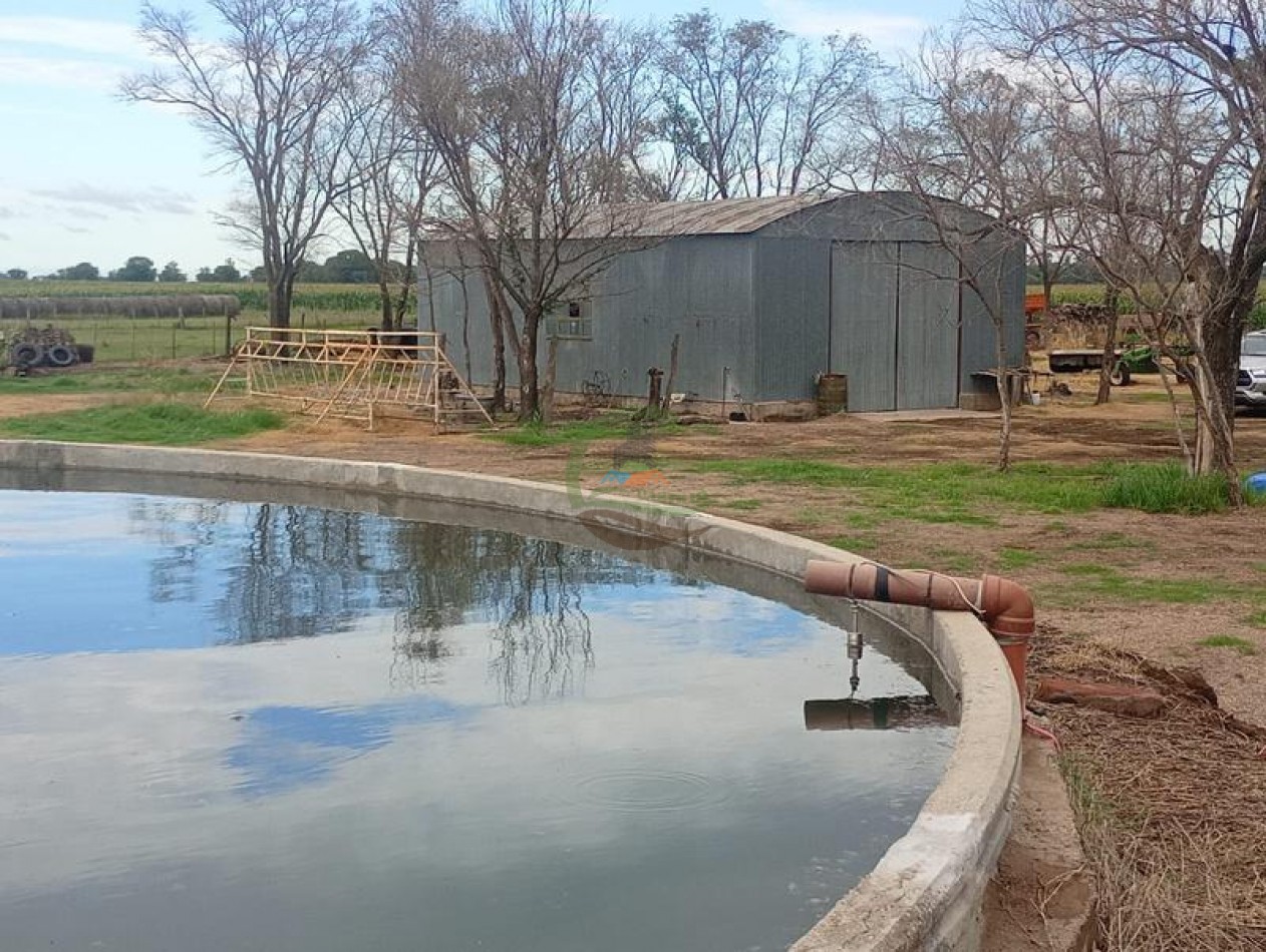 378 Ha Mixto - Realico - La Pampa