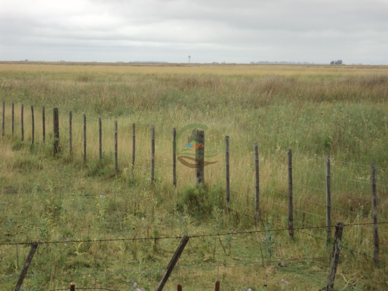 603 Ha Agricolas - Gral Pinto