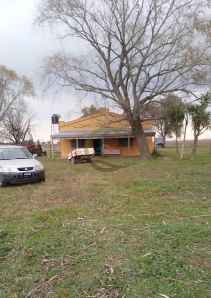 132 Ha Mixto - Magdalena