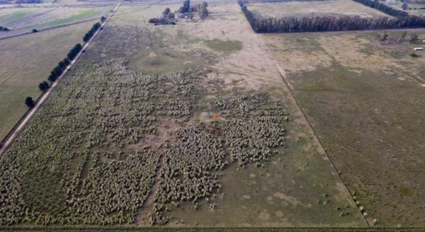 37 Ha Mixtas - San Miguel del Monte