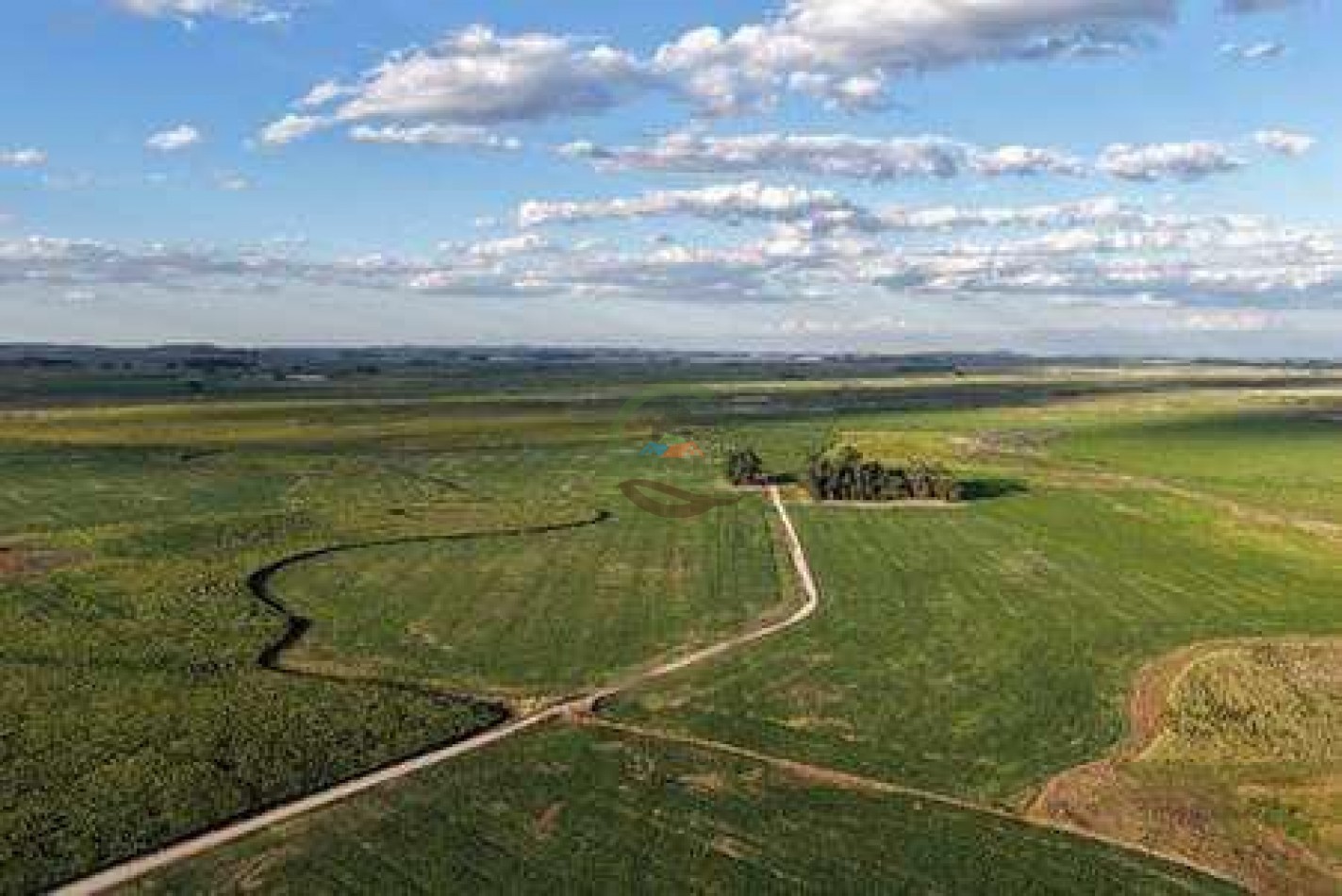 2057 Ha Mixto - Loberia