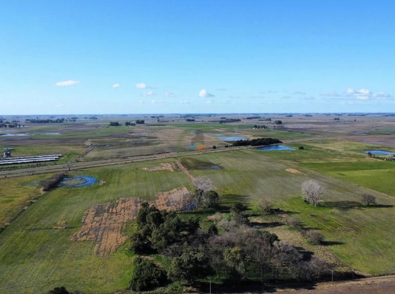 39 Ha Agricolas - Saladillo