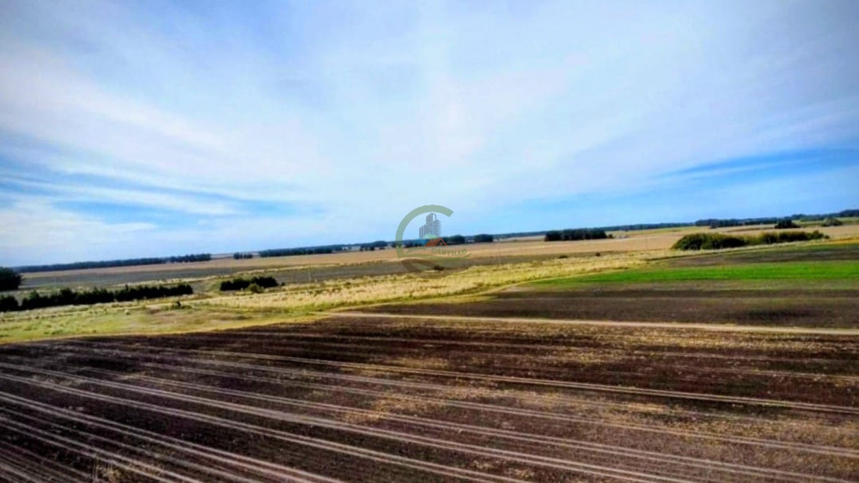 540 ha agricolas - miramar