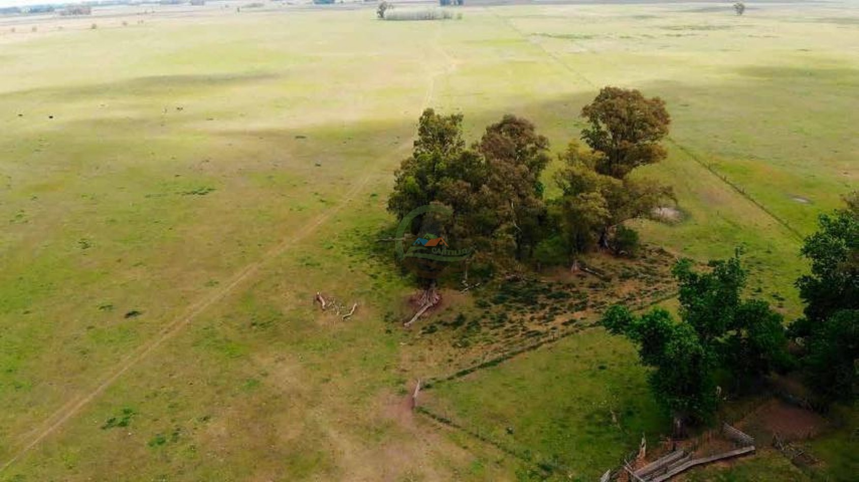 265 Ha Ganadero - Harosteguy - Las Flores