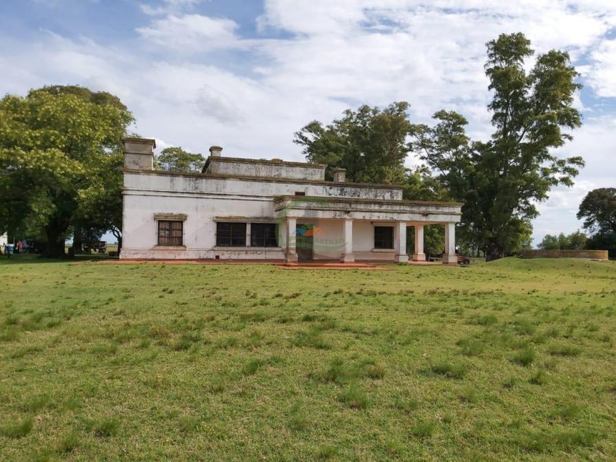 642 Ha Mixtas - Bolivar