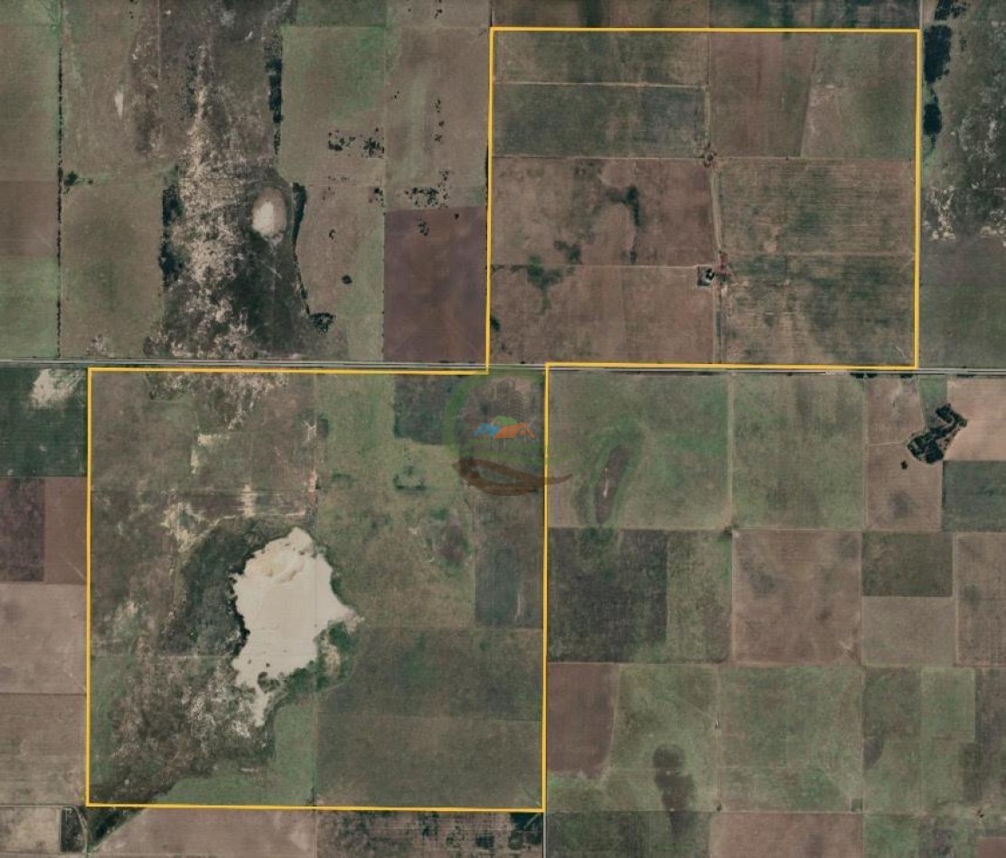 1020 Ha Mixto - Realico - La Pampa