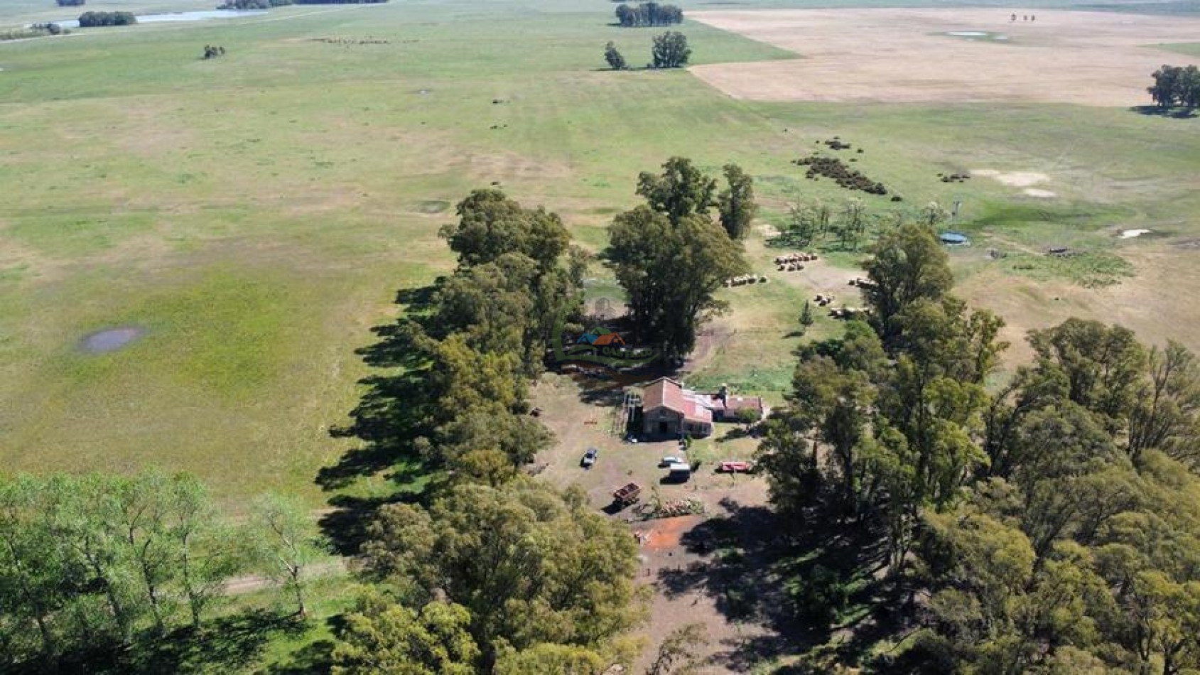 431 Ha Ganadero - Campodonico - Tapalque