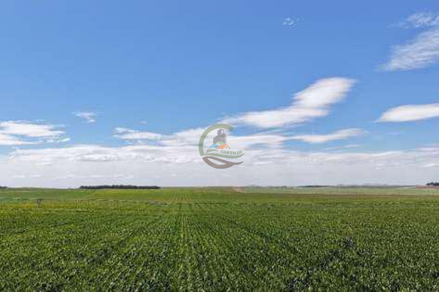 2057 Ha Mixto - Loberia