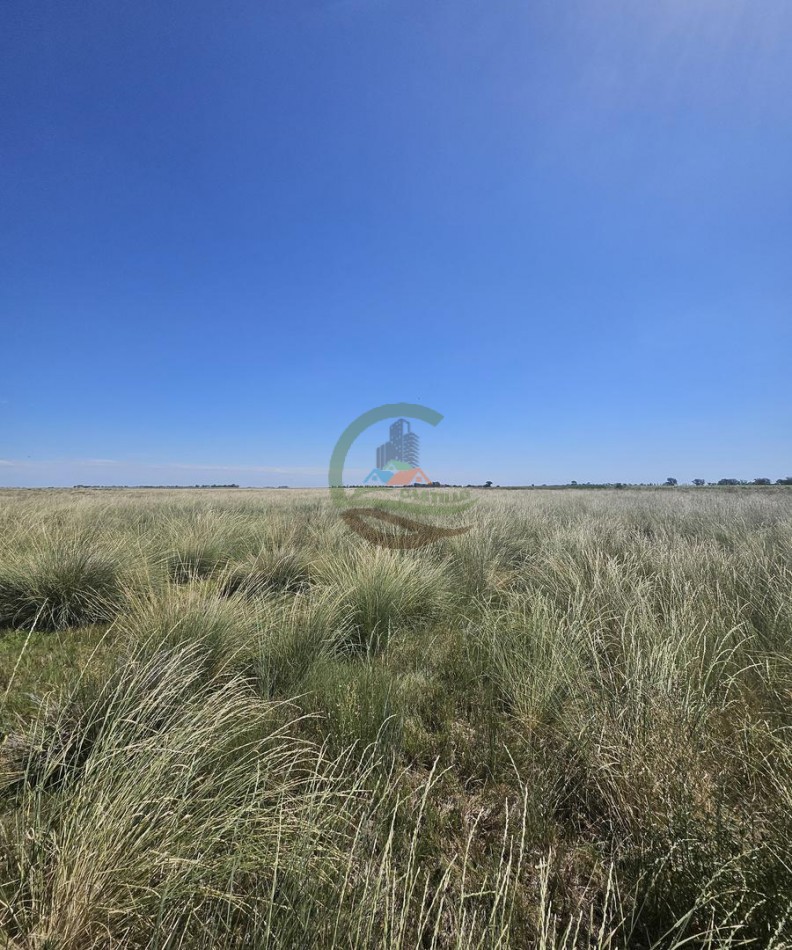 121 Ha Mixto - Martin Fierro - Trenque Lauquen